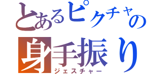 とあるピクチャの身手振り（ジェスチャー）