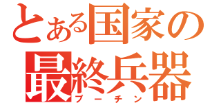 とある国家の最終兵器（プーチン）