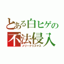 とある白ヒゲの不法侵入（メリークリスマス）