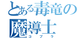 とある毒竜の魔導士（コブラ）