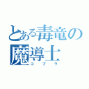 とある毒竜の魔導士（コブラ）