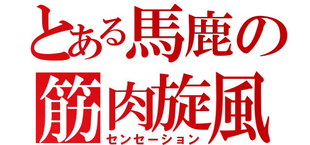 とある馬鹿の筋肉旋風（センセーション）