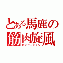 とある馬鹿の筋肉旋風（センセーション）