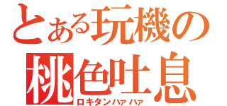 とある玩機の桃色吐息（ロキタンハァハァ）