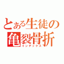 とある生徒の亀裂骨折（インデックス）