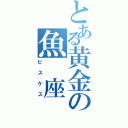 とある黄金の魚　座（ピスケス）