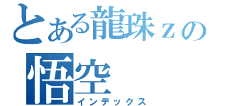 とある龍珠ｚの悟空（インデックス）