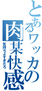 とあるワッカの肉某快感（気持ちよすぎだろ）