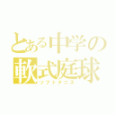 とある中学の軟式庭球（ソフトテニス）