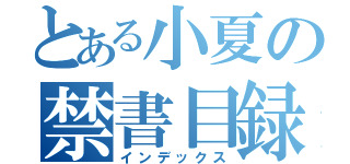 とある小夏の禁書目録（インデックス）