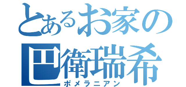 とあるお家の巴衛瑞希鞍馬（ポメラニアン）