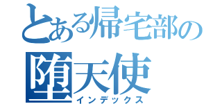 とある帰宅部の堕天使（インデックス）