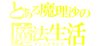 とある魔理沙の魔法生活（マジックライフ）