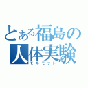 とある福島の人体実験（モルモット）