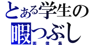 とある学生の暇つぶし（画像集）