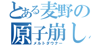 とある麦野の原子崩し（メルトダウナー）