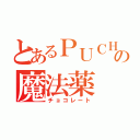 とあるＰＵＣＨＡの魔法薬（チョコレート）