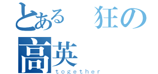 とある瘋狂の高英廣設（ｔｏｇｅｔｈｅｒ）