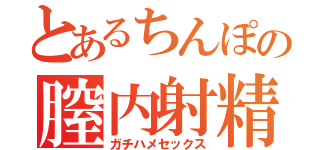 とあるちんぽの膣内射精（ガチハメセックス）