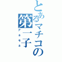 とあるマチコの第一子（アネモネ）