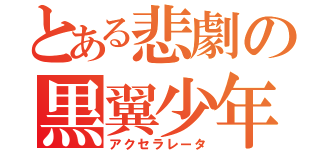 とある悲劇の黒翼少年（アクセラレータ）