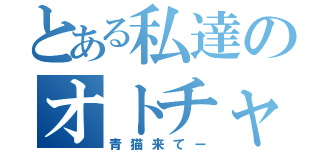 とある私達のオトチャ（青猫来てー）