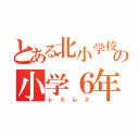 とある北小学校の小学６年生（レミレミ）