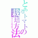 とあるトマトの栽培方法Ⅱ（サイバイホウホウ）