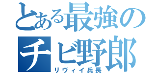 とある最強のチビ野郎（リヴィイ兵長）