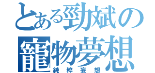 とある勁斌の寵物夢想（純粹妄想）