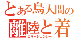 とある鳥人間の離陸と着陸（エマージェンシー）