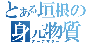 とある垣根の身元物質（ダークマター）