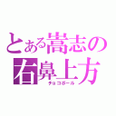 とある嵩志の右鼻上方（　　チョコボール）