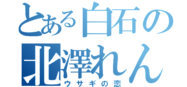 とある白石の北澤れん（ウサギの恋）