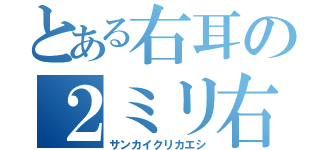 とある右耳の２ミリ右にミニ右耳（サンカイクリカエシ）