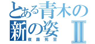 とある青木の新の姿Ⅱ（夜露死苦）