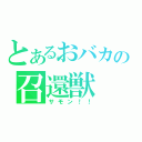 とあるおバカの召還獣（サモン！！）