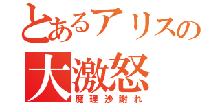 とあるアリスの大激怒（魔理沙謝れ）