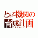 とある機関の育成計画（ラストホープ）