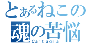 とあるねこの魂の苦悩（Ｃａｒｔａｇｒａ）