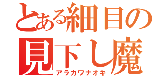 とある細目の見下し魔（アラカワナオキ）