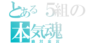 とある５組の本気魂（絶対金賞）