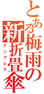 とある梅雨の新折畳傘（アンブレラ）