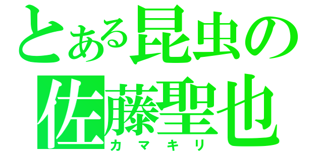 とある昆虫の佐藤聖也（カマキリ）