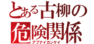 とある古柳の危険関係（アブナイカンケイ）