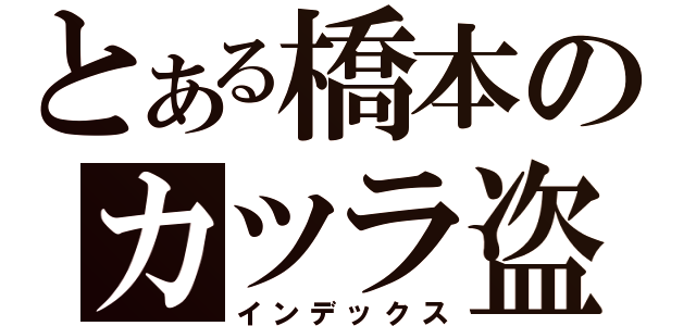 とある橋本のカツラ盗撮（インデックス）