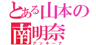 とある山本の南明奈（アッキーナ）