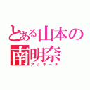 とある山本の南明奈（アッキーナ）