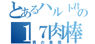 とあるハルト君の１７肉棒（男の象徴）