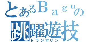 とあるＢａｇｕｓの跳躍遊技（トランポリン）